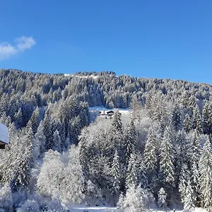 Les 3 Cols Morzine, 2 Pieces, 2 Personnes , Morzine France